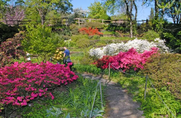 Vrt je s tisočerimi cvetovi različnih barv kot nalašč za sproščujoč 
sprehod ob koncu tedna.