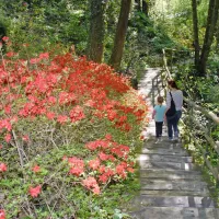 Urejena pešpot skozi vrt, ki mu nekateri rečejo tudi park, ponekod 
spominja na sprehod skozi deževni pragozd.