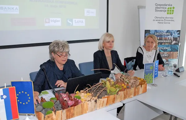 V Novi Gorici so že po tradiciji rezultate gospodarstva v minulem letu in stanja na trgu dela skupaj 
predstavile vodje regijskih izpostav Ajpesa, zavoda za zaposlovanje in GZS.