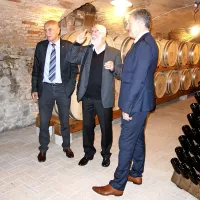 Klet za grofovska vina