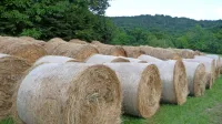 Zakaj se na&scaron;a materin&scaron;čina deli na množico narečij?