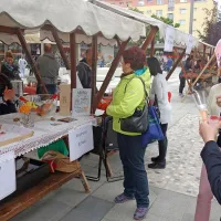 Dan za rože in prostovoljstvo