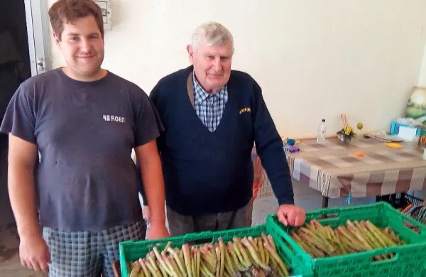 Kristjan (levo) in njegov dedek Virgil upata, da bo  v prihodnjih 
dneh vendarle topleje, šparglje  namreč  pobirajo še vsaj do sredine 
junija.        
