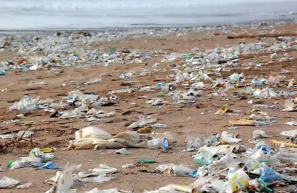 Direktiva temelji na obstoječi zakonodaji glede odpadkov, jo pa 
nadgrajuje s strožjimi pravili glede tistih vrst izdelkov in embalaže, 
ki najpogosteje onesnažujejo evropske plaže.