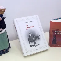V Hi&scaron;i kulture tudi va&scaron;ka knjižnica