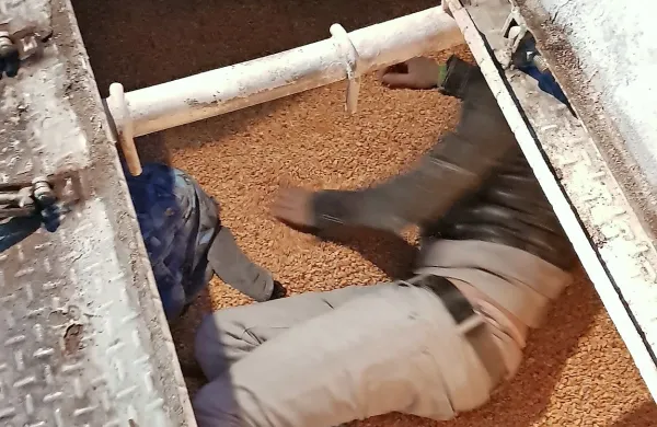 Trije prebežniki skriti v vagonu s koruzo