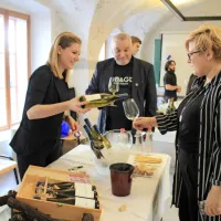 Mladosten in profesionalen pristop k predstavljanju vin
