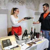 Mladosten in profesionalen pristop k predstavljanju vin