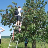 Če&scaron;enj le za vzorec