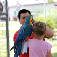 Mesto je postalo raj za otroke in star&scaron;e