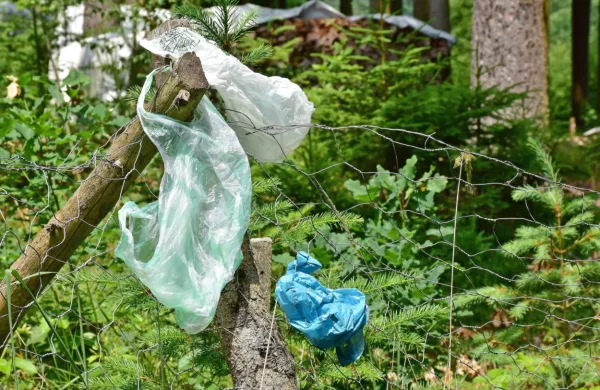 V Tanzaniji za no&scaron;njo plastične vrečke zagrožen dvotedenski zapor