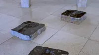 Hodil po zemlji sem vaši je še jutri na ogled v Insuli. 