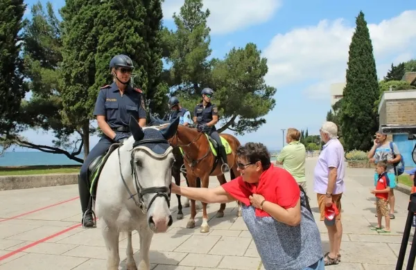 Avstrijki jahali na&scaron;e konje