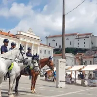 Avstrijki jahali na&scaron;e konje