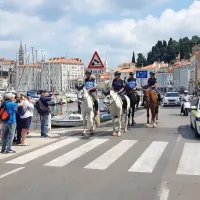 Avstrijki jahali na&scaron;e konje