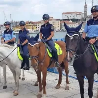 Avstrijki jahali na&scaron;e konje