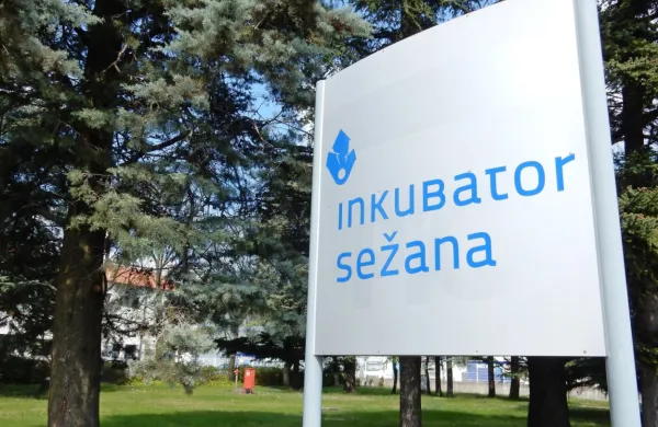 13 prijav za direktorja