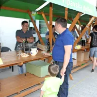 Sto in &scaron;e kak&scaron;en odtenek zelena