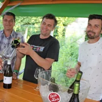 Sto in &scaron;e kak&scaron;en odtenek zelena