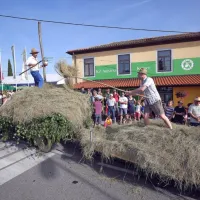 V tradicionalni povorki so prikazali tudi istrski način shranjevanja 
sena. 