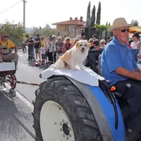 Kralj refo&scaron;ka je Goran Besednjak