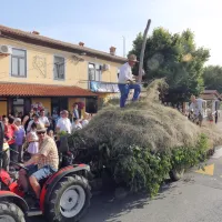 Kralj refo&scaron;ka je Goran Besednjak