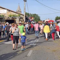 Kralj refo&scaron;ka je Goran Besednjak