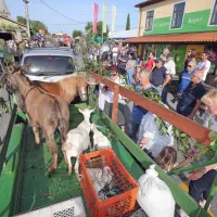 Kralj refo&scaron;ka je Goran Besednjak