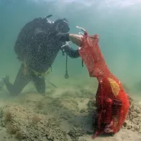 Več kot 200 slovenskih in hrva&scaron;kih potapljačev očistilo Piranski zaliv