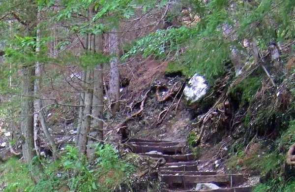 Ko je  skupinica mladostnikov  prišla  do  skale,  se  je  ta  prevalila  in 
nesrečnega fanta  stisnila ob drevo. Fotografija je simbolična.