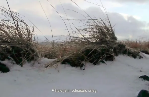 Prizor iz filma Prečkanje Islandije