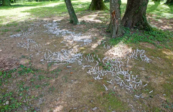 Objestneži so glinene cvetlice zbrcali, pohodili in razmetali.
