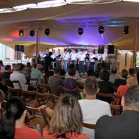 Preplet vina, kulinarike in kulture