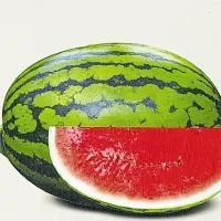  Lubenica je lahko samostojna malica. 
