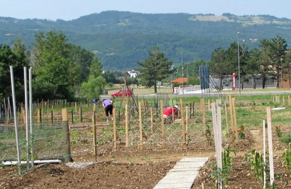 Ko so se pred leti vzpostavili  vrtovi, je bilo nekaj dvomom o 
primernosti lokacije, a so se ti lepo vklopili v urbano okolje. 