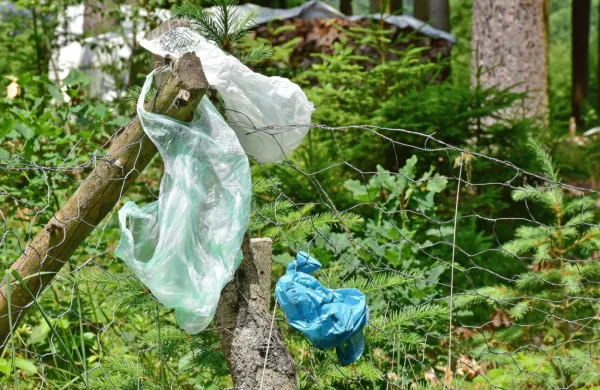 Avstrijski parlament sprejel prepoved plastičnih vrečk
