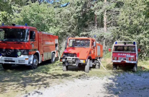 Podrastje zanetila strela