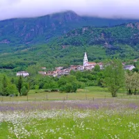 Pomladno cvetoči travnik v Oseku v barvah “Velvie”