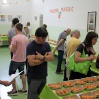 Na Planini marelice za vse okuse