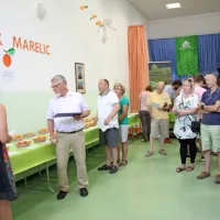 Na Planini marelice za vse okuse