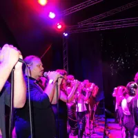 Vokalna ekstaza s Perpetuum Jazzile
