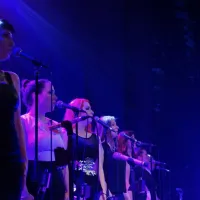 Vokalna ekstaza s Perpetuum Jazzile