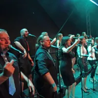 Vokalna ekstaza s Perpetuum Jazzile