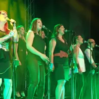 Vokalna ekstaza s Perpetuum Jazzile