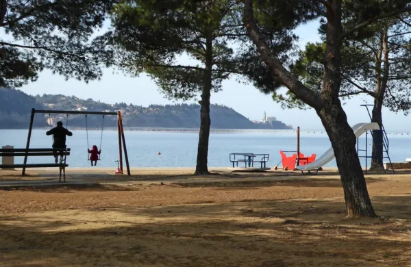 Sprva je voznik hotel zapeljati na plažo na Belvederju, kasneje pa 
na tisto v Strunjanu.