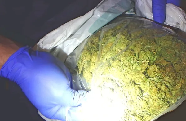 V ponudbi 36-letnika na Idrijskem je bilo tudi četrt kilograma 
posušenih delcev konoplje. 
