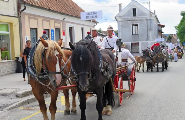 Na   Furmanskem prazniku so lahko obiskovalci videli pester izbor 
različnih vozov.