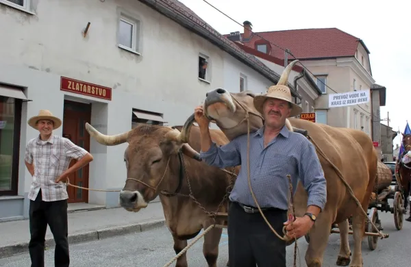  Pri Postojnski jami bo danes 28. Furmanski praznik.