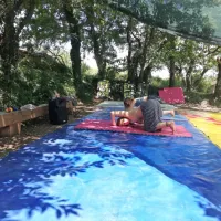 Jutri zvečer cirkus za vse