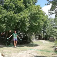 Jutri zvečer cirkus za vse
